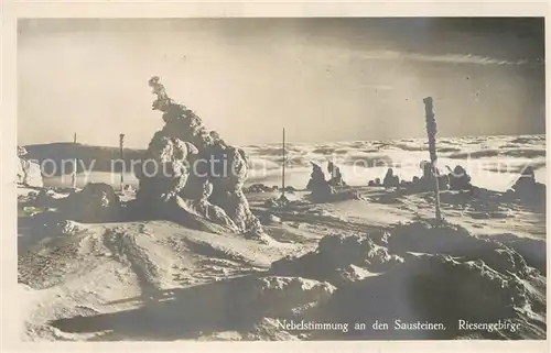 AK / Ansichtskarte Riesengebirge Sausteinen Winteraufnahme Riesengebirge