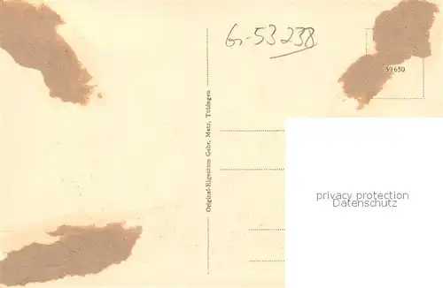 AK / Ansichtskarte Schreiberhau_Niederschlesien Hochsteinbaude Schreiberhau