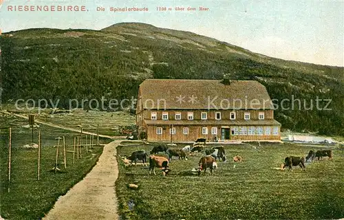 AK / Ansichtskarte Spindlerbaude_Riesengebirge Gasthaus Viehweide Spindlerbaude