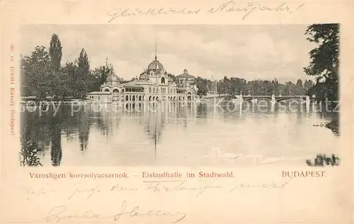 AK / Ansichtskarte Budapest Eislaufhalle im Stadtwald Budapest