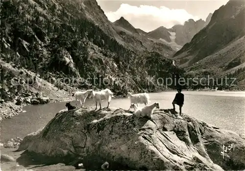AK / Ansichtskarte Lac_de_Gaube Hirte mit Ziegen Bergsee le Vignemale Pyrenaeen Lac_de_Gaube