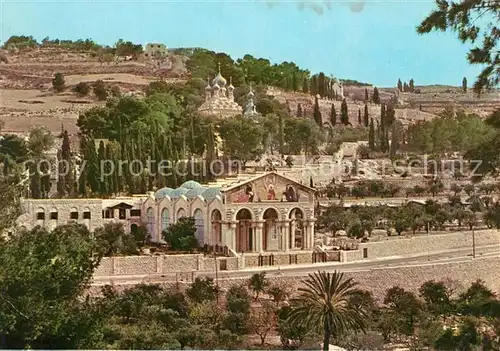 AK / Ansichtskarte Jerusalem_Yerushalayim Old City Basilica and Gardens of Gethsemane Jerusalem_Yerushalayim
