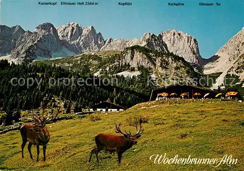 AK / Ansichtskarte Ellmau_Tirol Wochenbrunner Alm mit Wildpark Jausenstation Kaisergebirge Ellmau Tirol