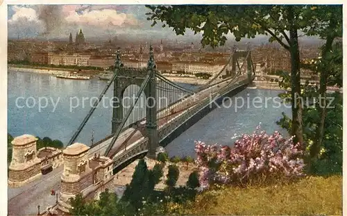 AK / Ansichtskarte Budapest Elisabethbruecke Budapest