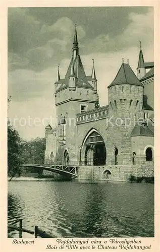 AK / Ansichtskarte Budapest Chateau Vajdahunyad Budapest