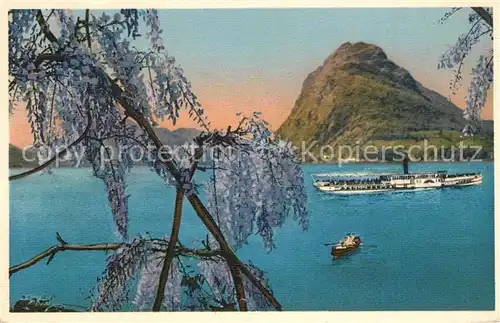 AK / Ansichtskarte Lago_di_Lugano Monte San Salvatore Lago_di_Lugano
