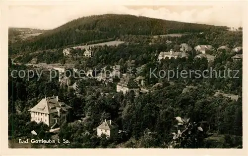 AK / Ansichtskarte Gottleuba Berggiesshuebel_Bad Panorama Gottleuba Berggiesshuebel