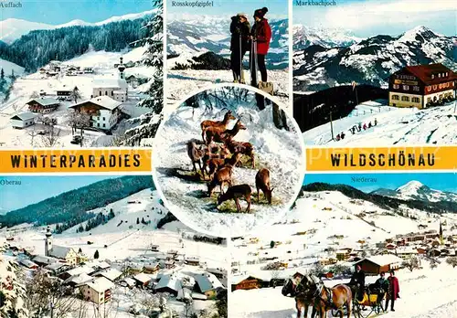 AK / Ansichtskarte Wildschoenau_Tirol Panorama Winterparadies Auffach Rosskopfgipfel Markbachjoch Niederau Oberau Pferdeschlitten Wildfuetterung Wildschoenau Tirol