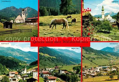 AK / Ansichtskarte Wildschoenau_Tirol Ortschaften der Umgebung Haflinger Pferde Wildschoenau Tirol