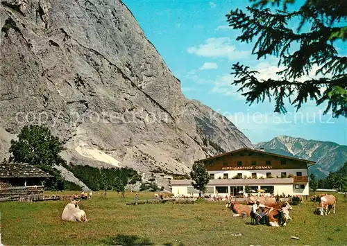 AK / Ansichtskarte Pertisau_Achensee Alpengasthof Gramai Almvieh Kuehe Karwendelgebirge Pertisau Achensee