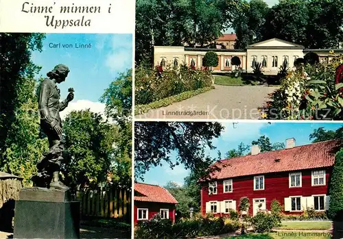 AK / Ansichtskarte Uppsala Carl von Linne Denkmal Statue Linnetraedgarden Linnes Hammarby Uppsala