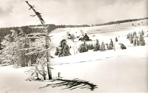 Waldkirch_Breisgau Berggasthaus Kandel Waldkirch Breisgau