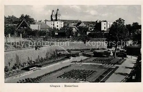 Glogau_Niederschlesien Rosarium Glogau_Niederschlesien