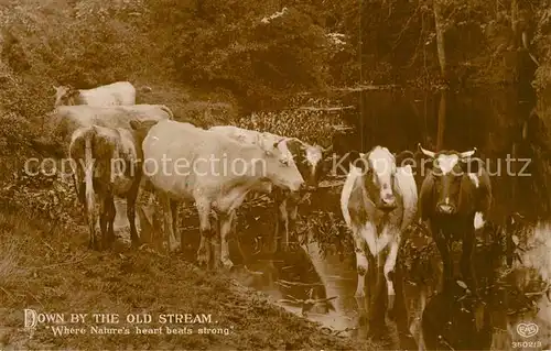 AK / Ansichtskarte Verlag_EAS_Nr. 3502 3 Kuehe  Verlag_EAS_Nr.