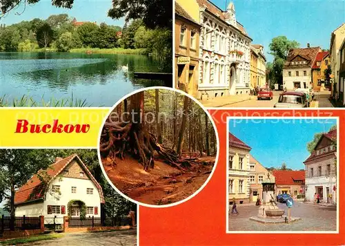 AK / Ansichtskarte Buckow_Maerkische_Schweiz Buckowsee Clara Zetkin Strasse Wurzelfichte Brecht Weigel Haus Markt Buckow_Maerkische_Schweiz