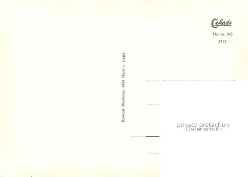 AK / Ansichtskarte Horn_Lippe Nordstrasse Jugendherberge Turm Bleiche Freibad Horn_Lippe