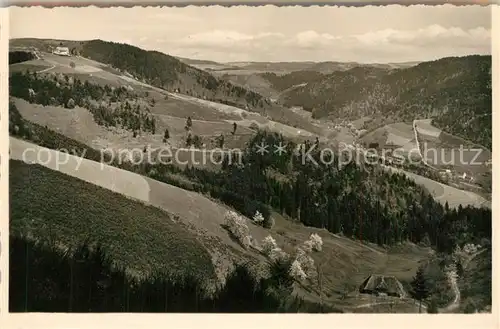 AK / Ansichtskarte St_Peter_Schwarzwald Blick ins Ibental St_Peter_Schwarzwald