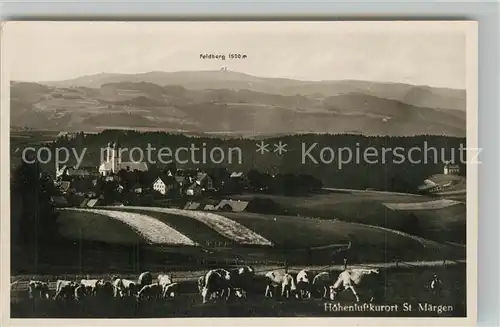 AK / Ansichtskarte St_Maergen Panorama mit Feldberg St_Maergen