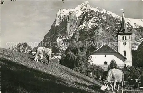 AK / Ansichtskarte Grindelwald Kirche mit Wetterhorn Kuehe Grindelwald