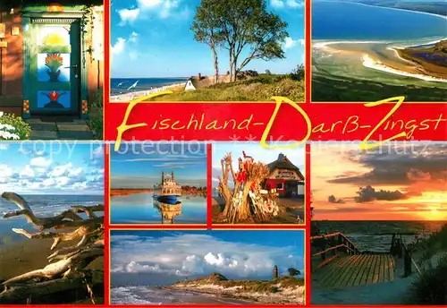 AK / Ansichtskarte Darss_Zingst Fliegeraufnahme Moewen Strand Darss_Zingst