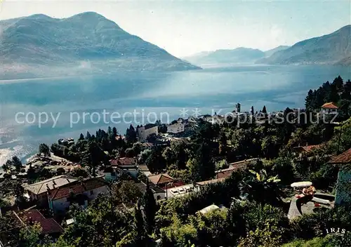 AK / Ansichtskarte Brissago_Lago_Maggiore Panorama Brissago_Lago_Maggiore