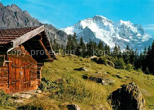 AK / Ansichtskarte Wengen_BE Jungfrau Panorama Wengen_BE