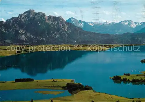 AK / Ansichtskarte Forggensee_Schwangau Saeuling  Forggensee Schwangau