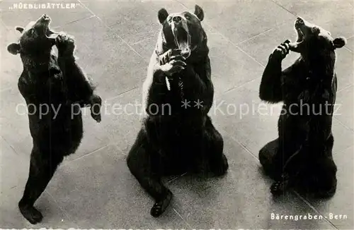 AK / Ansichtskarte Baeren Baerengraben Bern Baeren