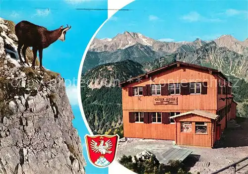 AK / Ansichtskarte Pfronten Gemse am Breitenberg Ostlerhuette Gaishorn Alpenpanorama Pfronten
