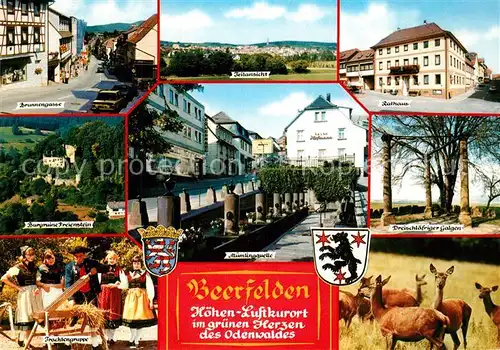 AK / Ansichtskarte Beerfelden_Odenwald Brunnengasse Rathaus Burgruine Freienstein Muemlingsquelle Dreischlaefriger Galgen Trachtengruppe Beerfelden Odenwald
