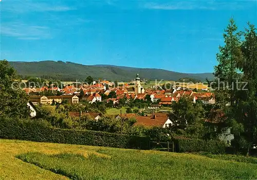 AK / Ansichtskarte Waldmuenchen Panorama Waldmuenchen