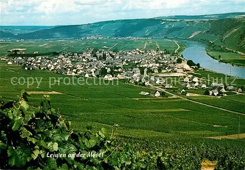 AK / Ansichtskarte Leiwen_Mosel Panorama Leiwen Mosel