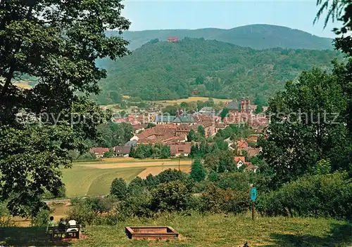 AK / Ansichtskarte Amorbach_Miltenberg Panorama 