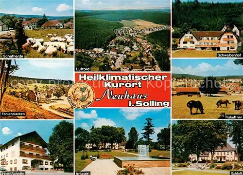 AK / Ansichtskarte Neuhaus_Solling Schafherde Fohlenplacken Hotel Schatte Fliegeraufnahme Anlagen Schwalbehof Trakehner Schloss Neuhaus Solling