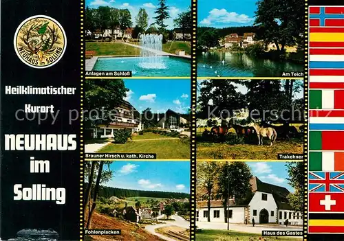 AK / Ansichtskarte Neuhaus_Solling Schlossanlagen Teich Brauner Hirsch Trakehner Fohlenplacken Haus des Gastes Neuhaus Solling