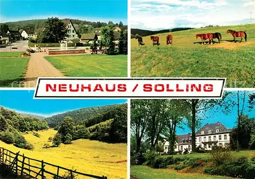 AK / Ansichtskarte Neuhaus_Solling Teilansichten Trakehner Neuhaus Solling