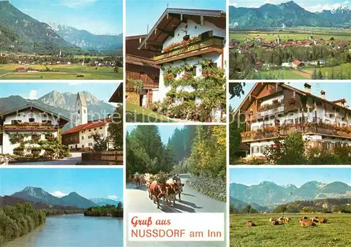 AK / Ansichtskarte Nussdorf_Inn Panoramen Nussdorf Inn