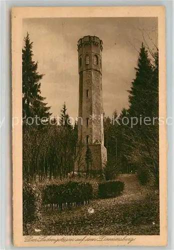 AK / Ansichtskarte Dannenfels Ludwigsturm auf dem Donnersberg Aussichtsturm Dannenfels