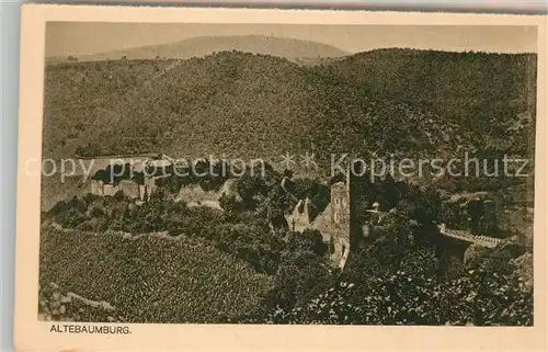 AK / Ansichtskarte Altenbamberg Altebaumburg Burgruine Altenbamberg