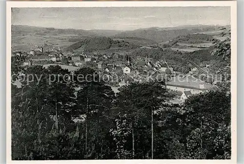 AK / Ansichtskarte Waldfischbach Burgalben Panorama Waldfischbach Burgalben