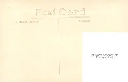 AK / Ansichtskarte Obst Pineapples Malaya  Obst