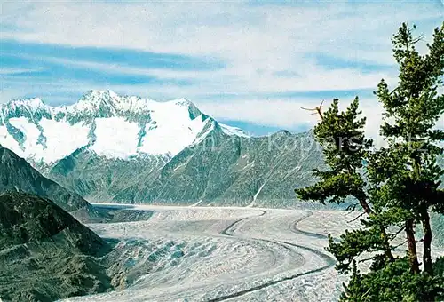 AK / Ansichtskarte Gletscher Aletschgletscher Walliser Fiescherhoerner Strahlhoerner  Gletscher
