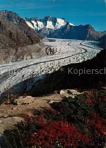 AK / Ansichtskarte Gletscher Aletschgletscher Wannenhorn Gletscher