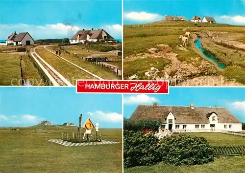AK / Ansichtskarte Hamburger_Hallig Panoramen  Hamburger Hallig