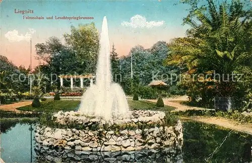 AK / Ansichtskarte Liegnitz_Legnica Palmenhain und Leuchtspringbrunnen Liegnitz_Legnica