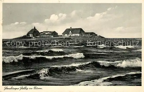 AK / Ansichtskarte Hamburger_Hallig im Sturm Hamburger Hallig