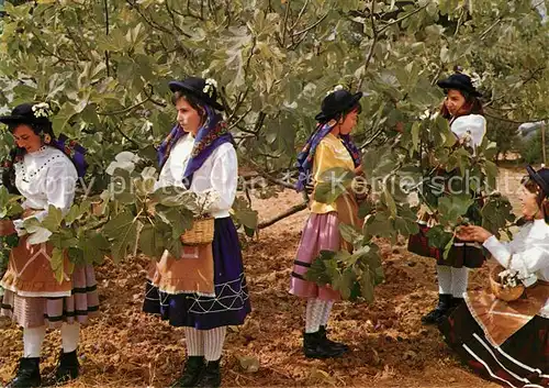 AK / Ansichtskarte Ernte_Landwirtschaft Tracht Algarve Colhendo Figos Feigenbaum  Ernte_Landwirtschaft