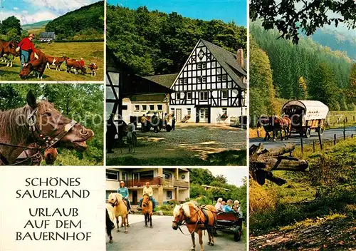 AK / Ansichtskarte Winterberg_Hochsauerland Urlaub auf dem Bauernhof Pferde Kuehe Fachwerk Winterberg_Hochsauerland