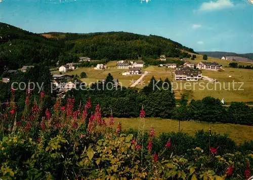 AK / Ansichtskarte Willingen_Sauerland Diemelsee Strycktal Willingen_Sauerland
