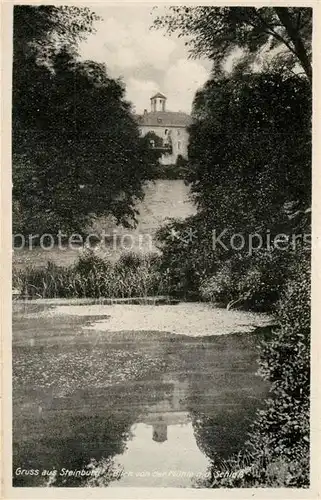 AK / Ansichtskarte Steinburg_Naumburg Blick von der Muehle zum Schloss Teich Stempel Druckfreigabe Steinburg Naumburg